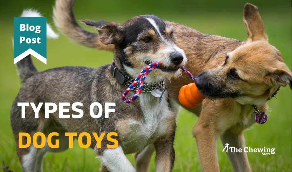 Types of dog deals toys