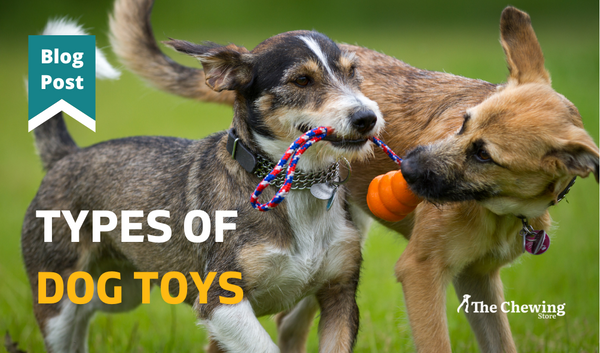 Types of Dog Toys