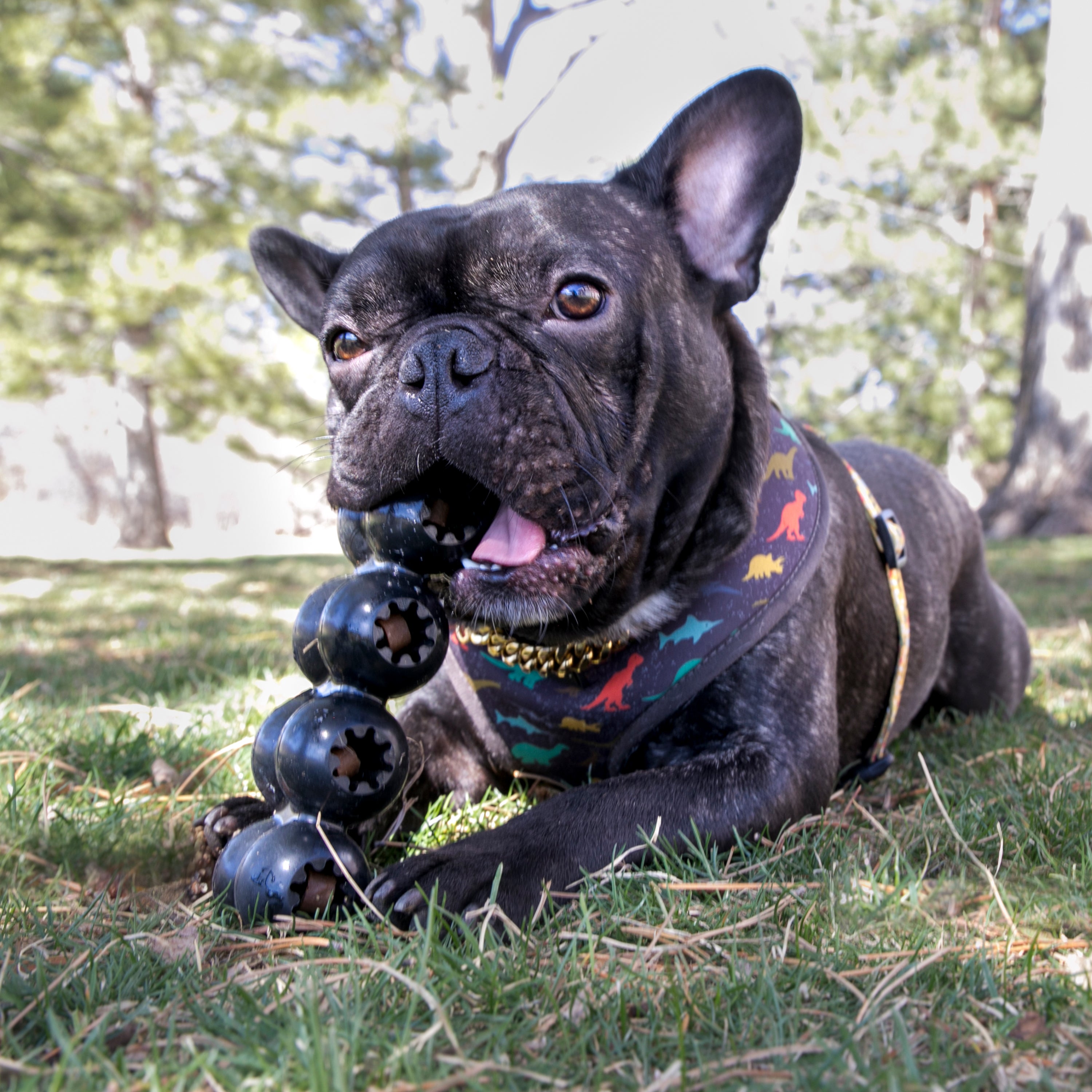 KONG® Extreme Goodie Ribbon Lg