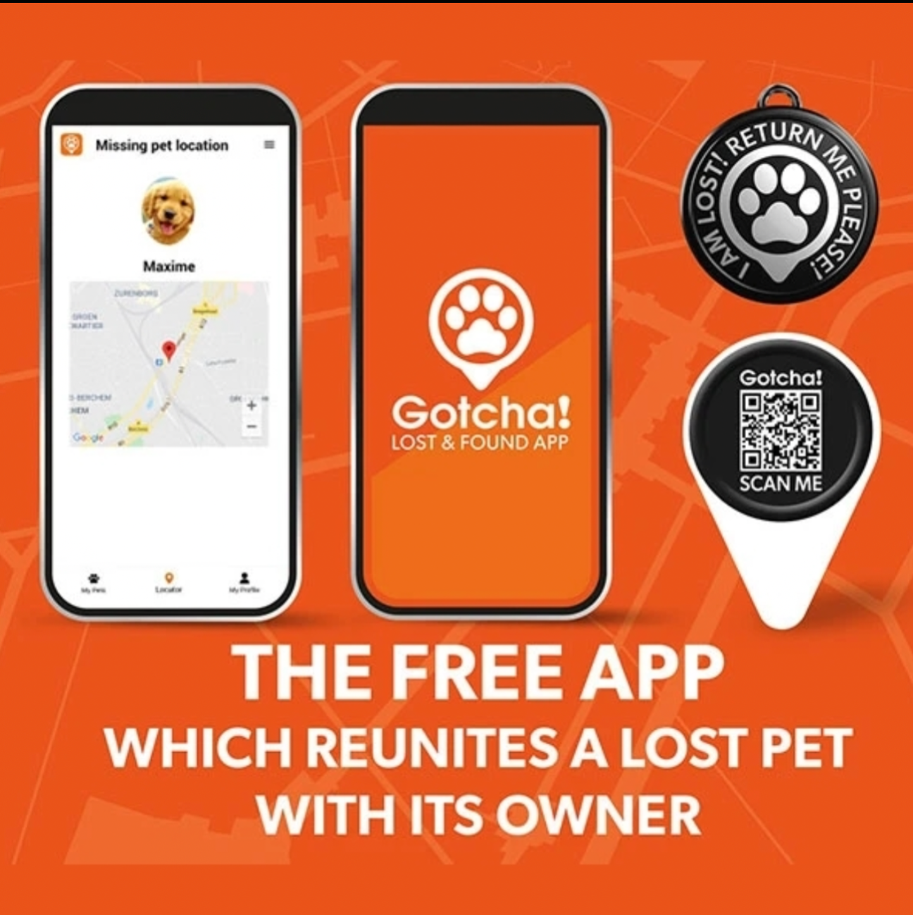 Max & Molly Smart ID Cat Collar - Margarite