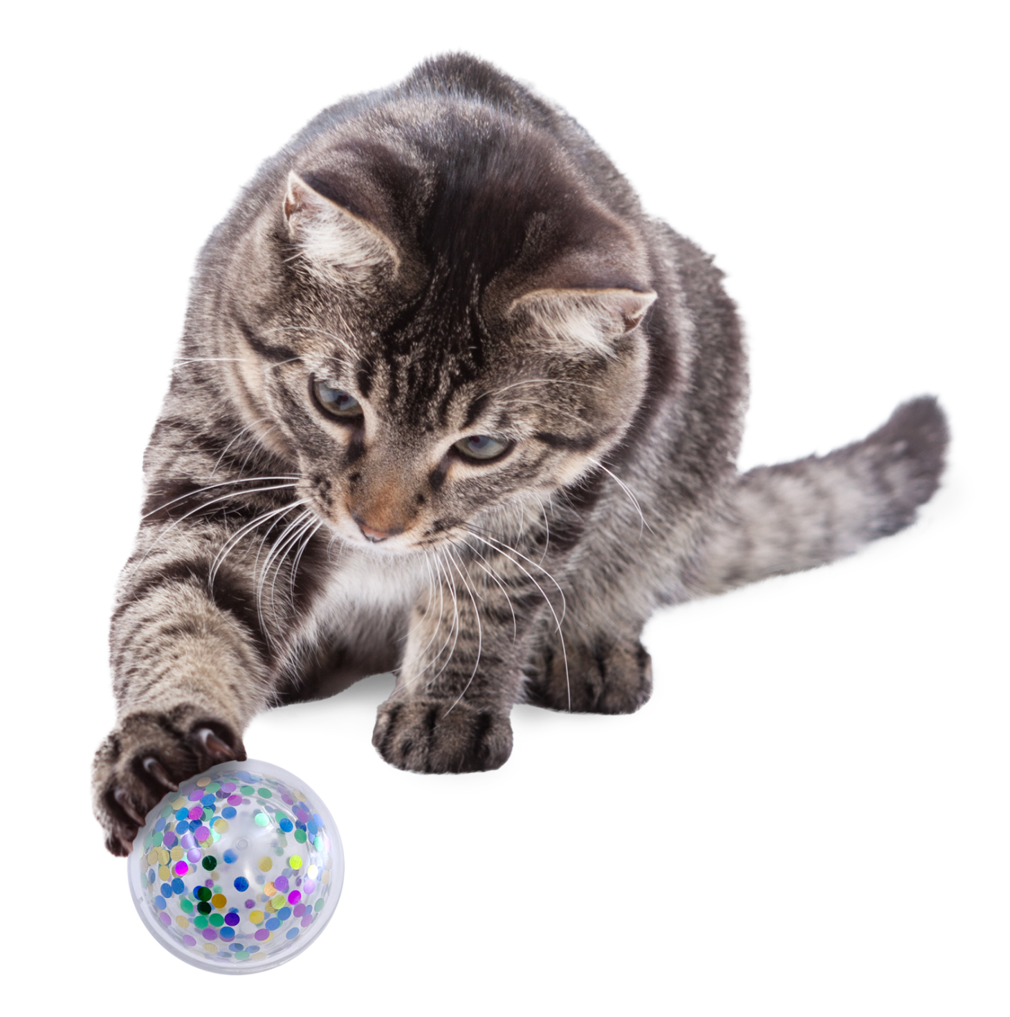KONG Cat Active Confetti Ball