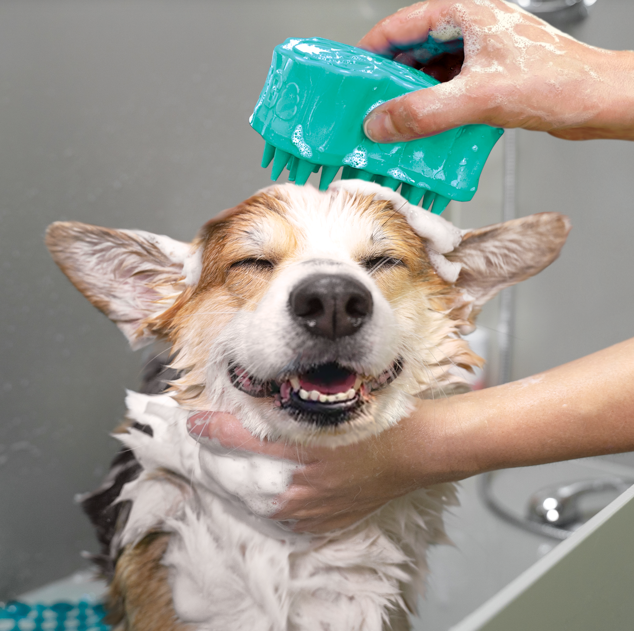 KONG ZoomGroom® Bubbles Lg