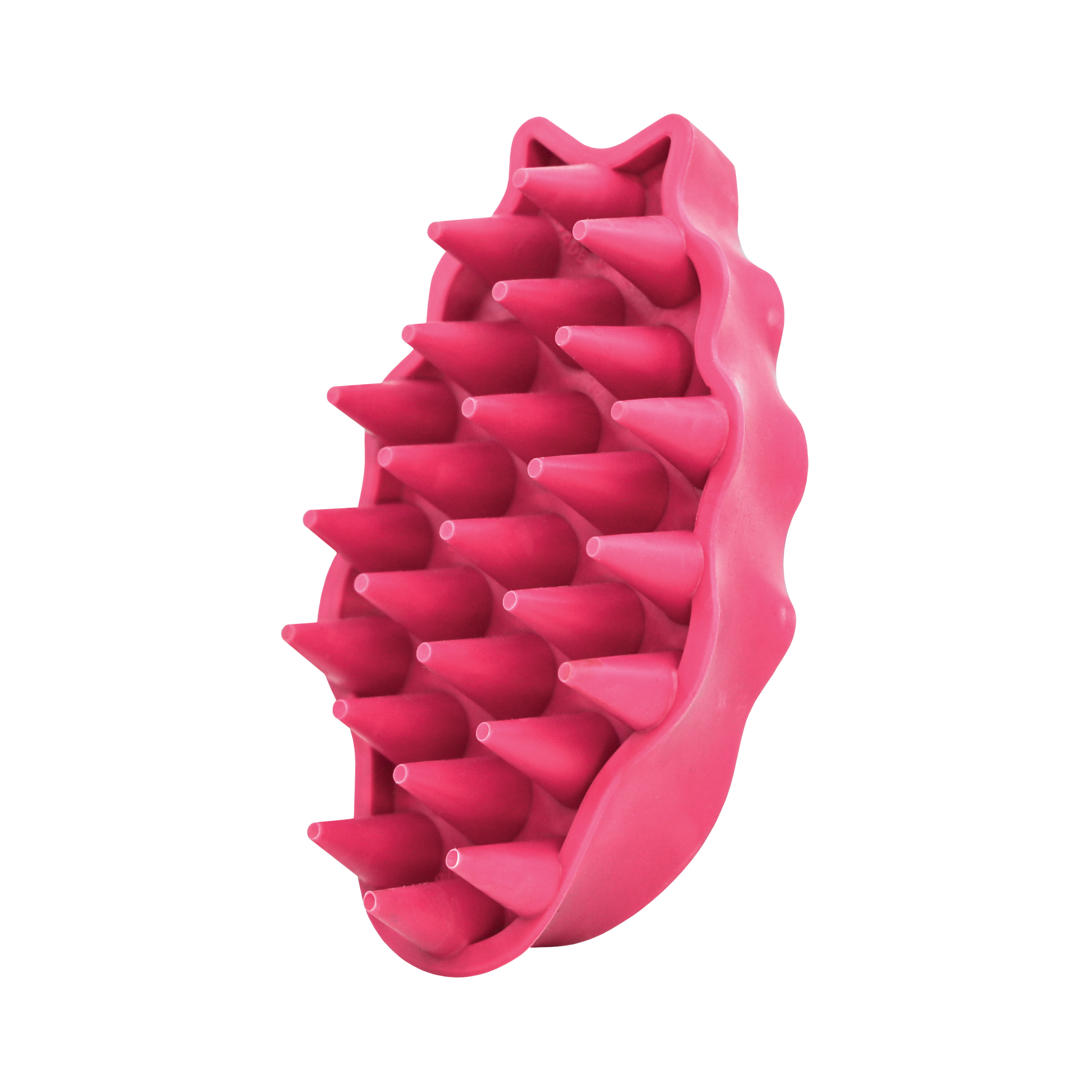 KONG ZoomGroom® Raspberry Lg