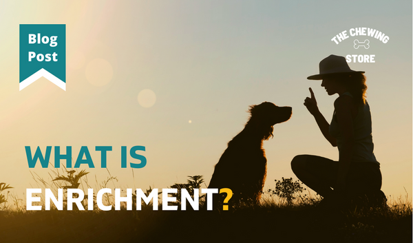 What is Enrichment?