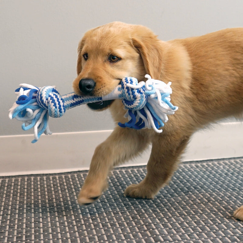 KONG Rope Stick Puppy Assorted Md