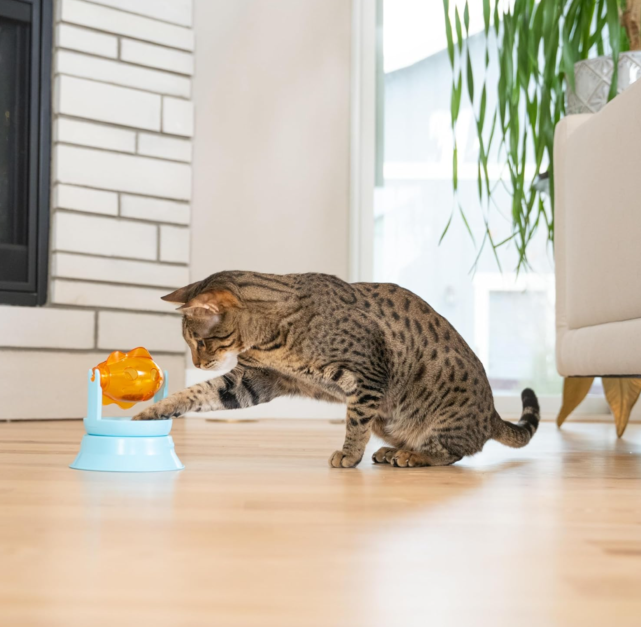 Catstages 2-in-1 Topper Spin Fish Bowl – Interactive Cat Toy
