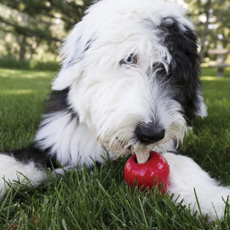 KONG Ziggies™ Dog Treat Small