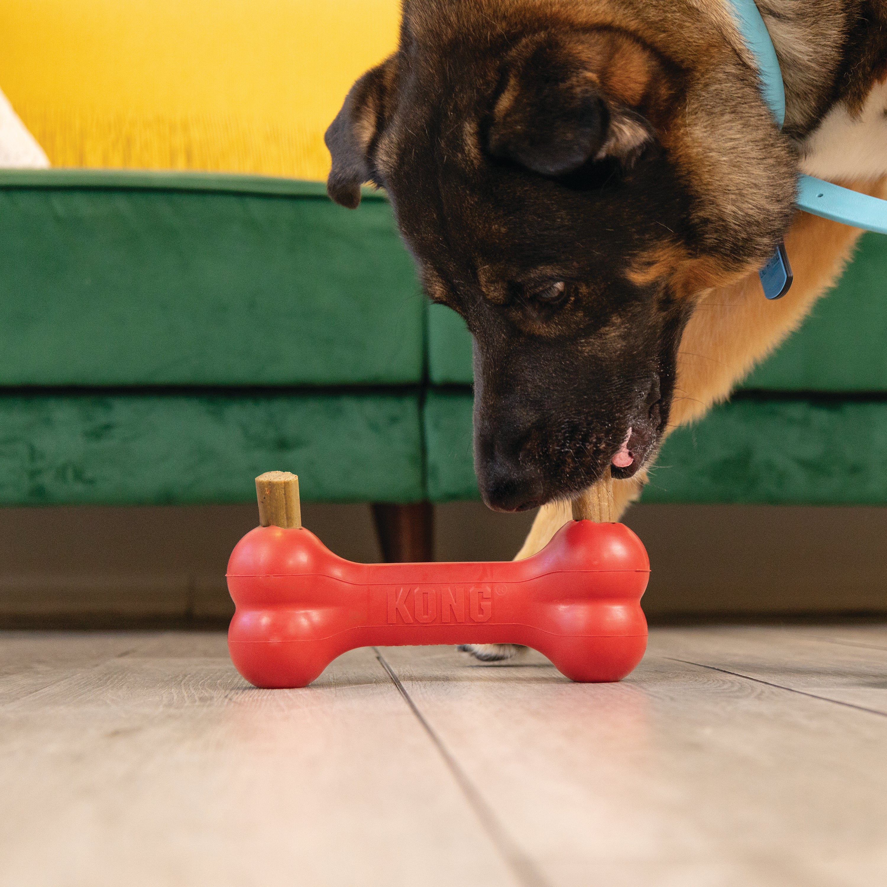 KONG Ziggies Enhanced Md/Lg