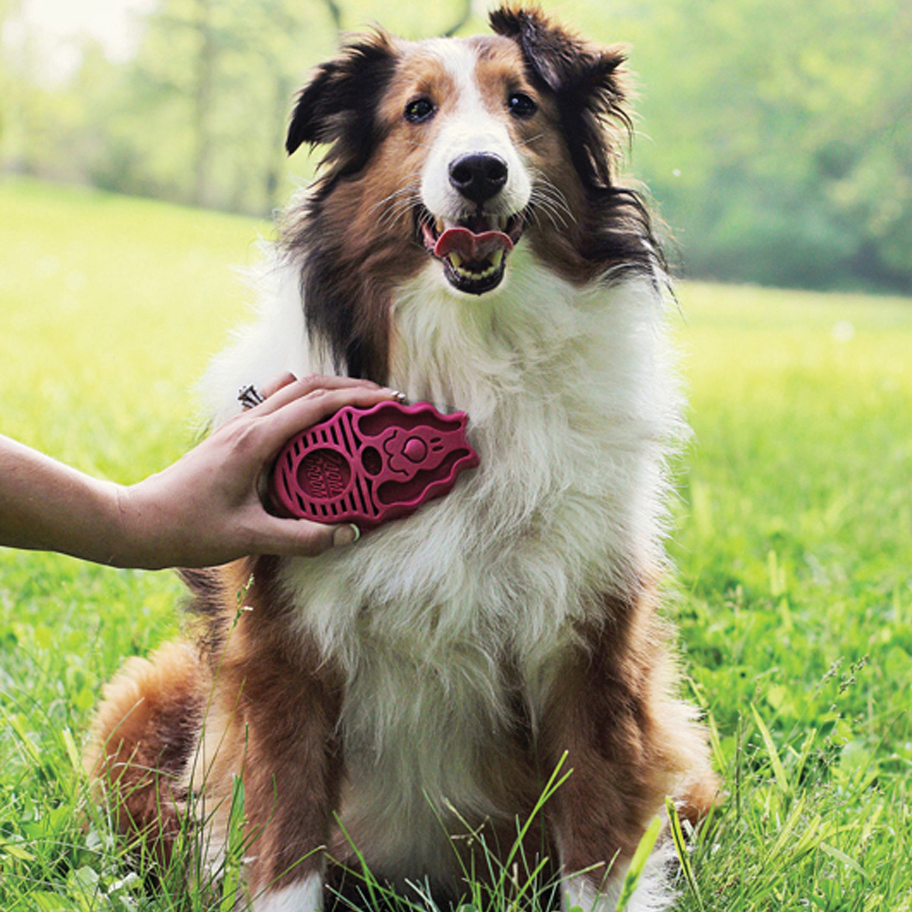 KONG ZoomGroom® Raspberry Lg