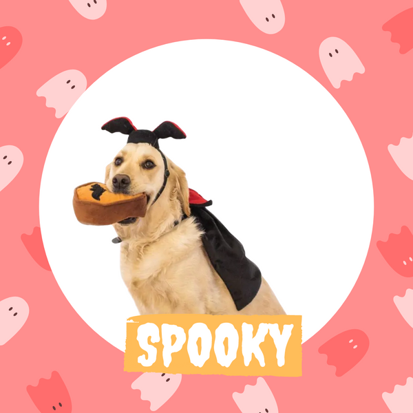 Zippy Paws Dracula Costume Kit