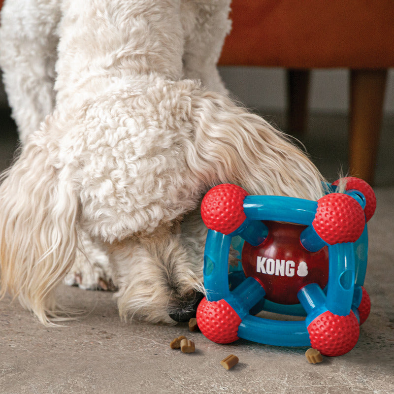 Kong Rewards Wally Treat Dispenser Dog Toy