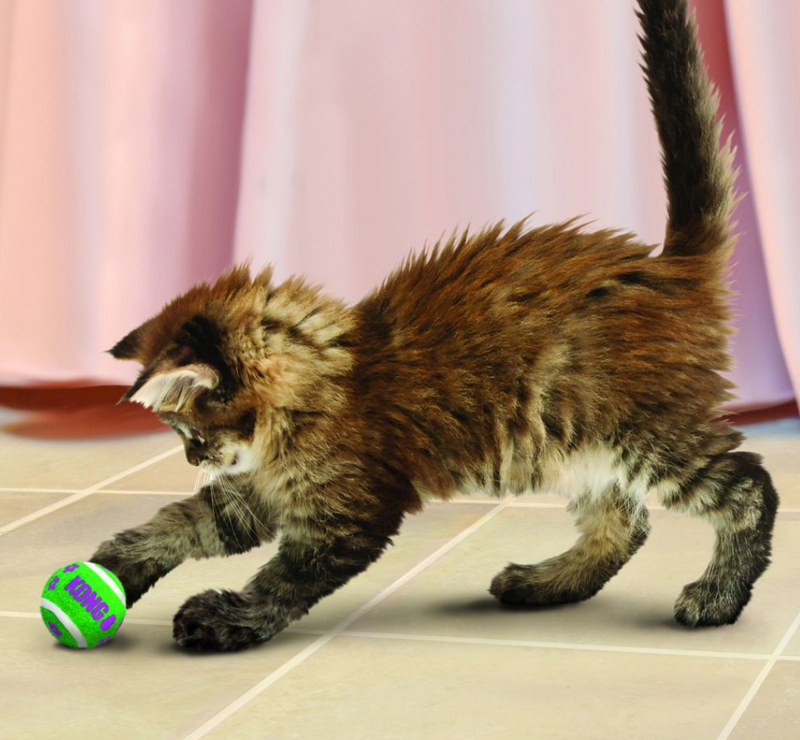 KONG Active Cat Ball with Bell