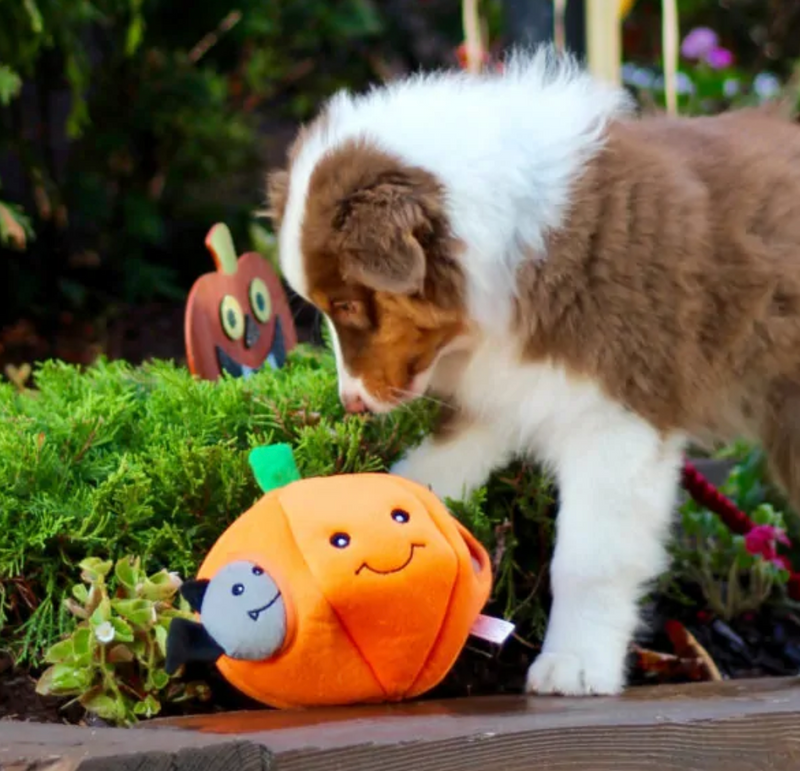 Zippy Paws Burrow Pumpkin