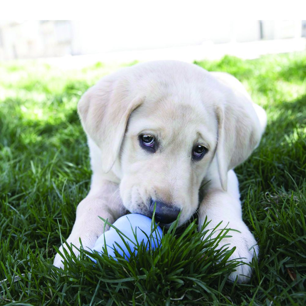 KONG Snacks® Puppy - Large